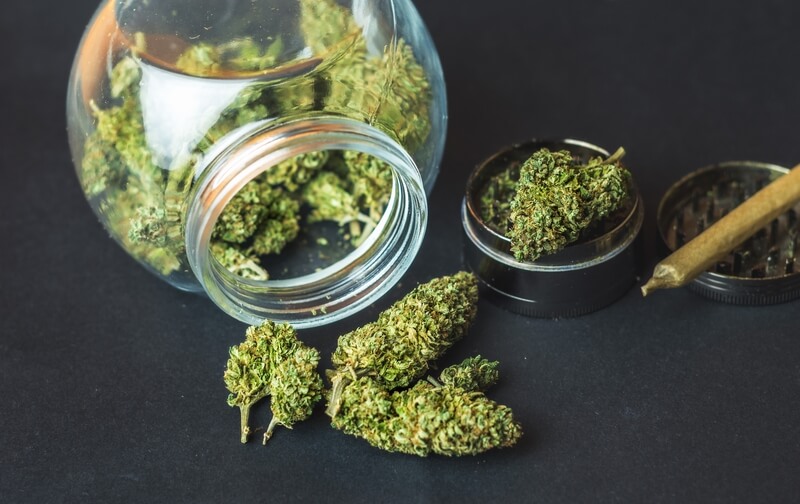 efeito entourage thc