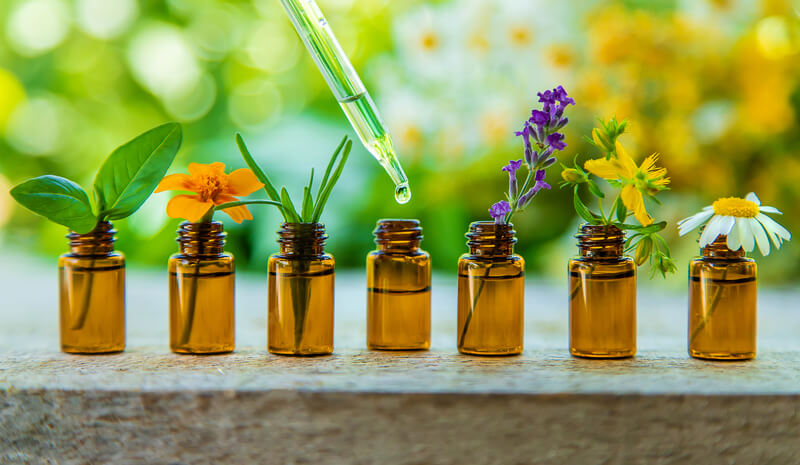 fitofarmaco plantas medicinais