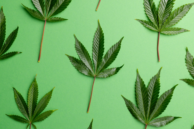 historia da cannabis