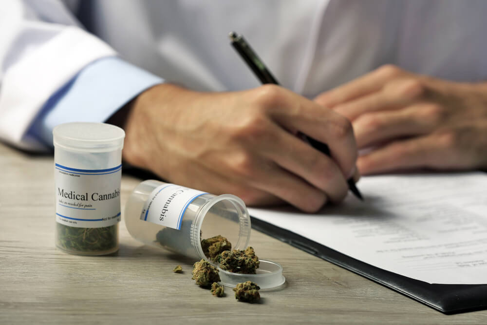 sistema endocanabinoide o que e-como funciona cannabis medicinal