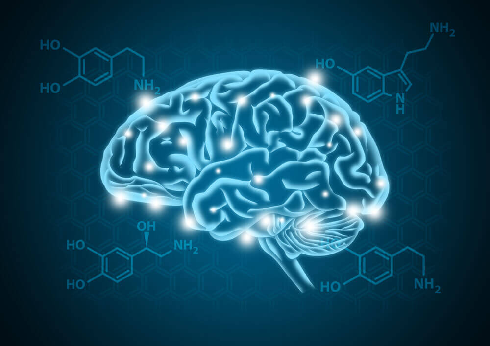 canabidiol dependencia qumica dopamina ciclo corpo humano