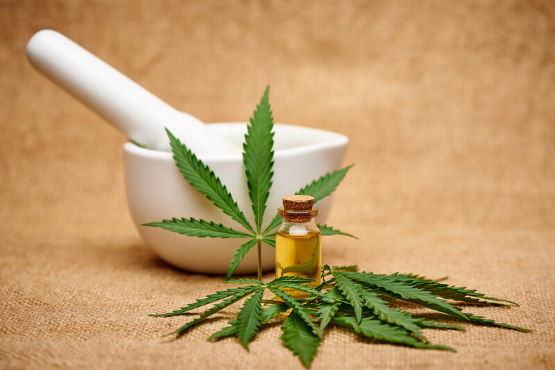 dor cronica cannabis
