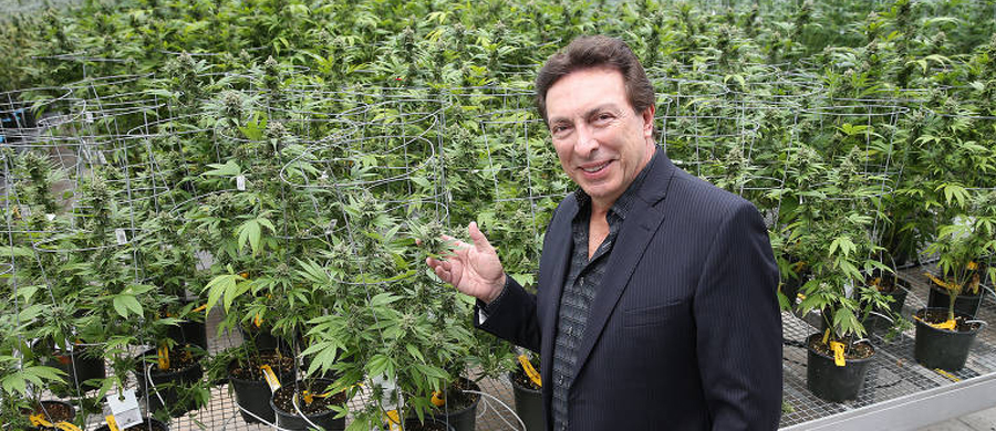 mario grieco