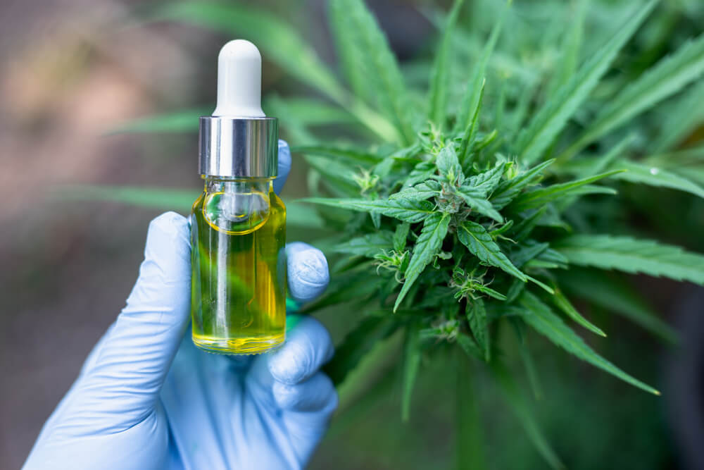 tratamento com canabidiol como funciona