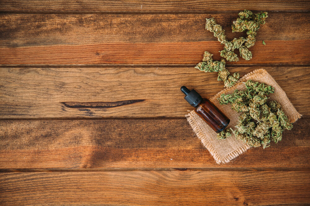 cannabis regulamentação quem pode prescrever produtos a base brasil