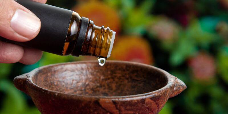 terpenos como usar terpenos