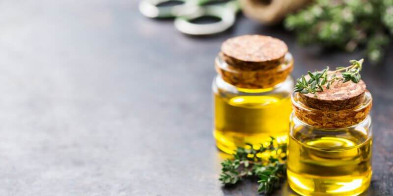 terpenos terpenos canabicos como usar