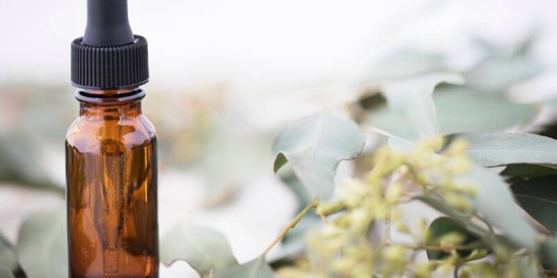 terpenos terpenos pdf