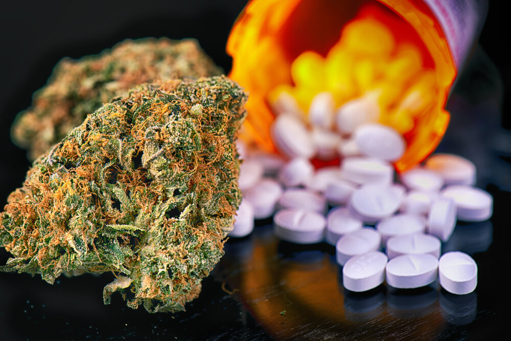 encefalite viral o que dizem os especialistas sobre o uso de cbd no tratamento