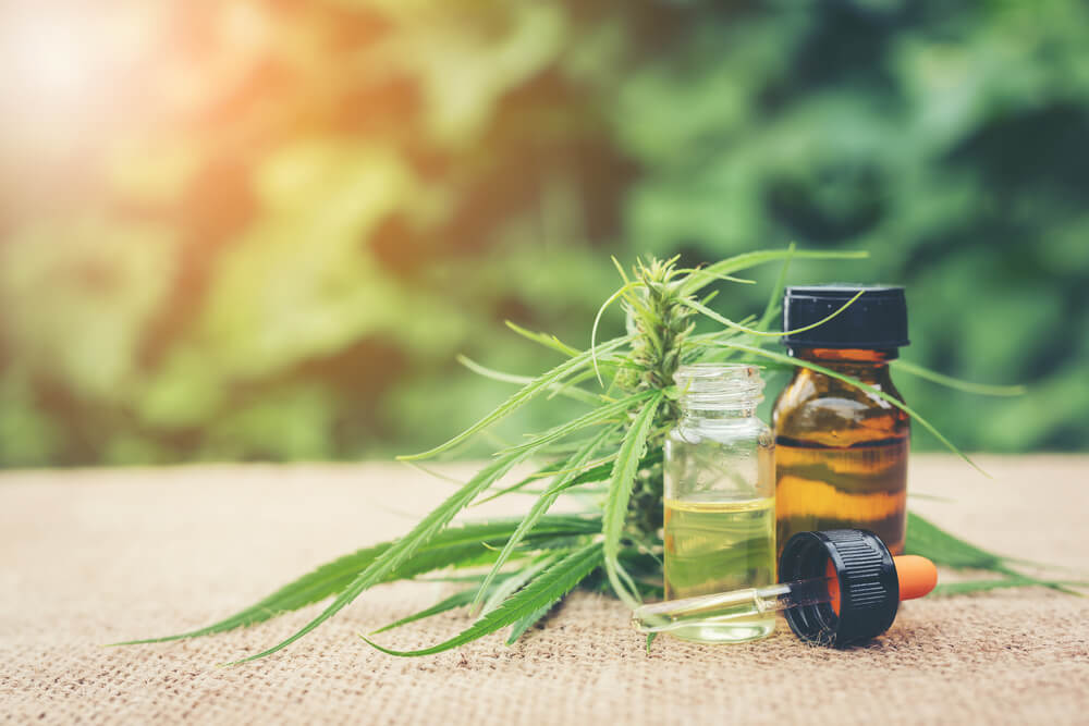 prescritora cannabis dentistas