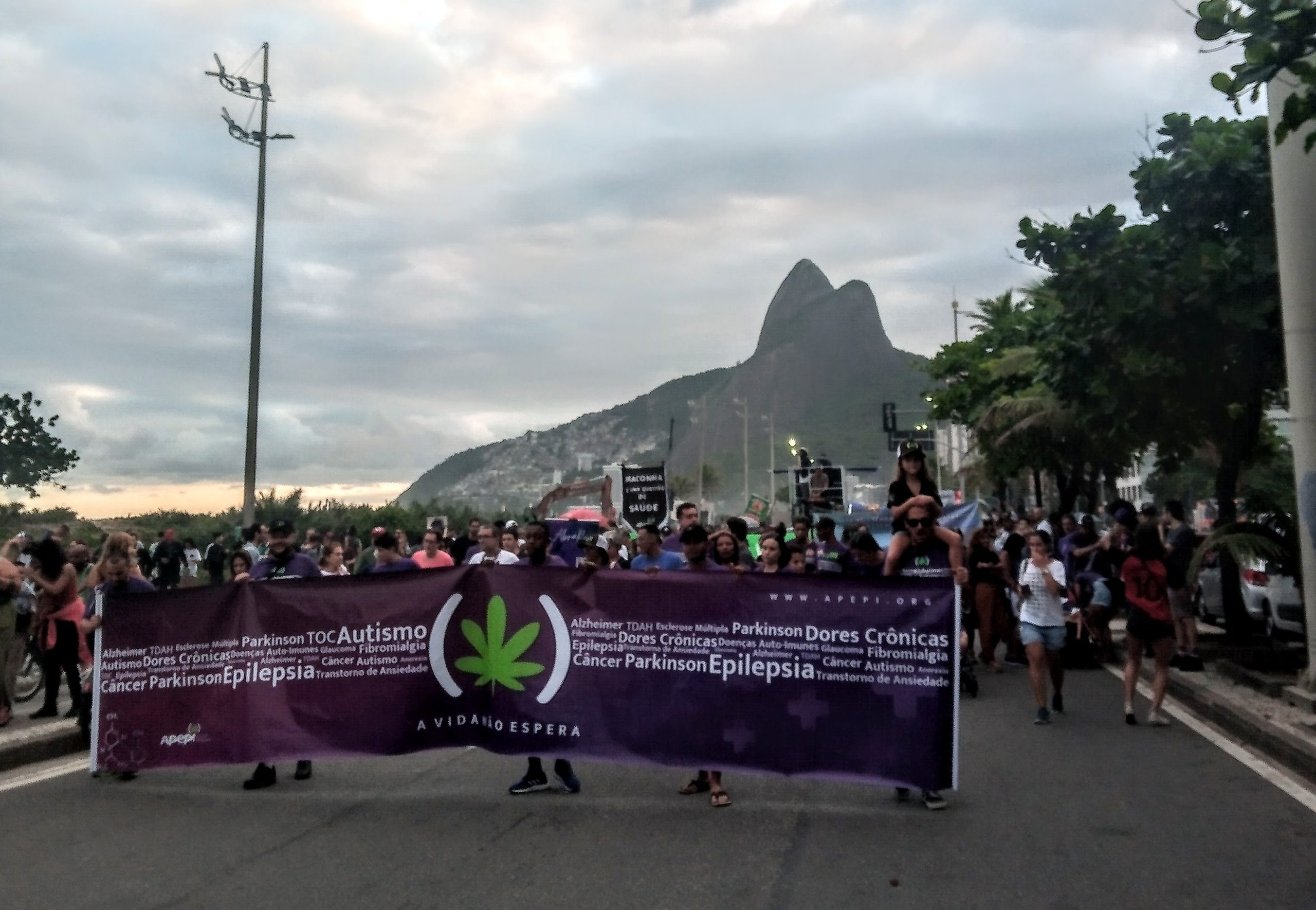 news-cannabis