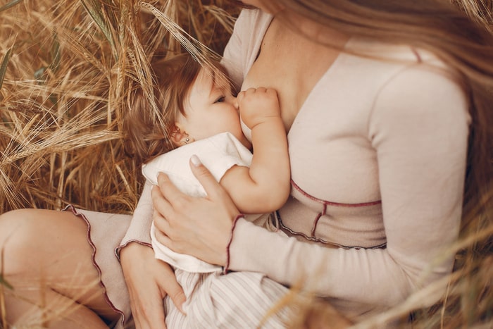 amamentacao e cannabis mae e filho