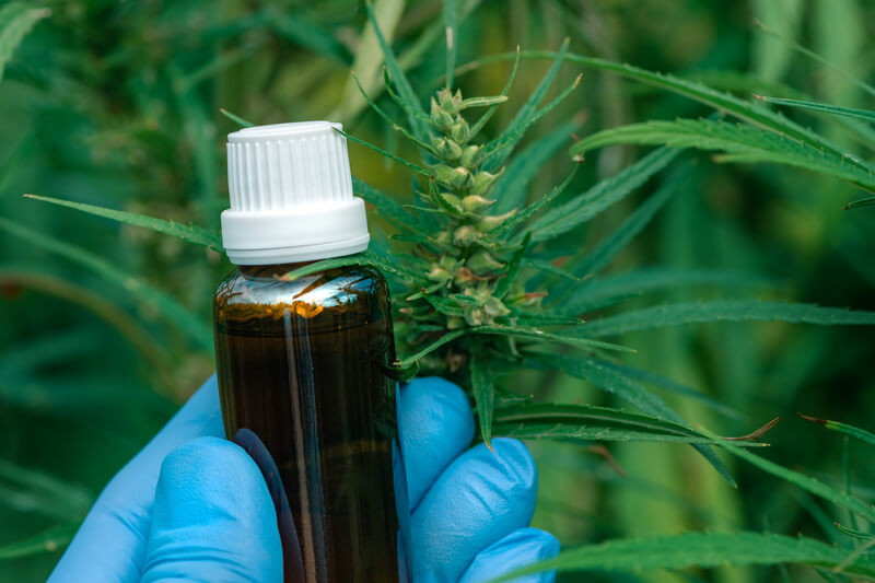 primeira-farmacia-cannabis