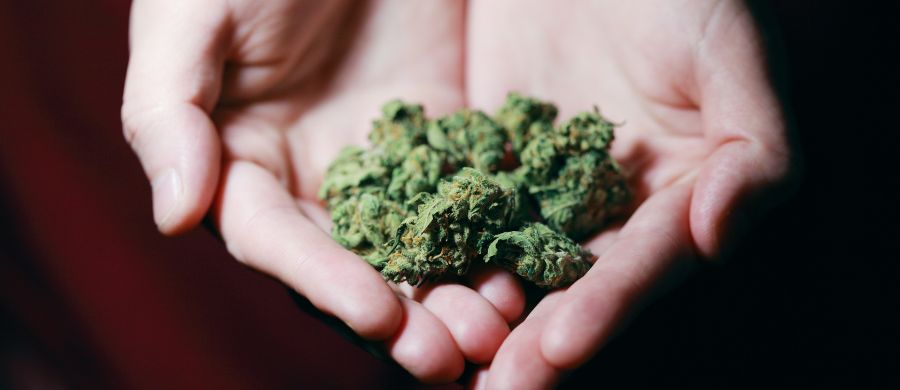 cannabis-mulheres