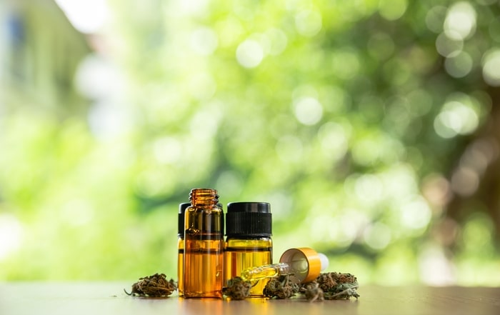 tratamento angiossarcoma cannabis medicinal