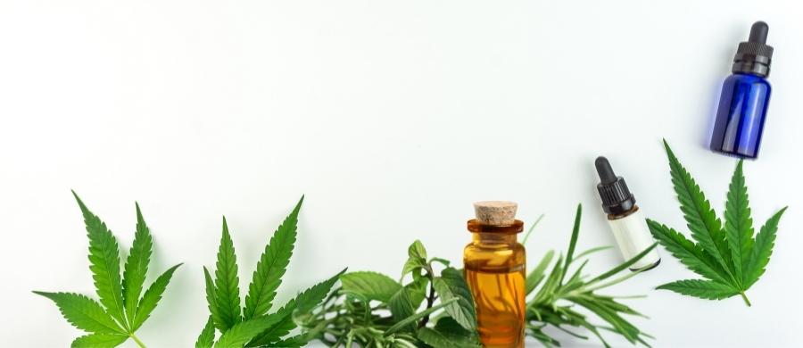 Cannabis cancer de mama
