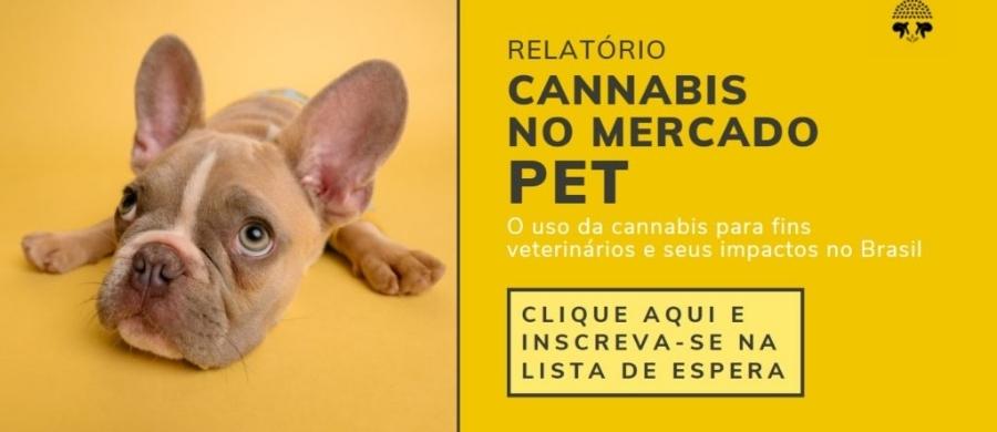 KAYA cannabis pet