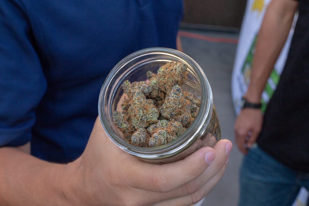 EUA: 83% dos pacientes de Cannabis medicinal usam flores