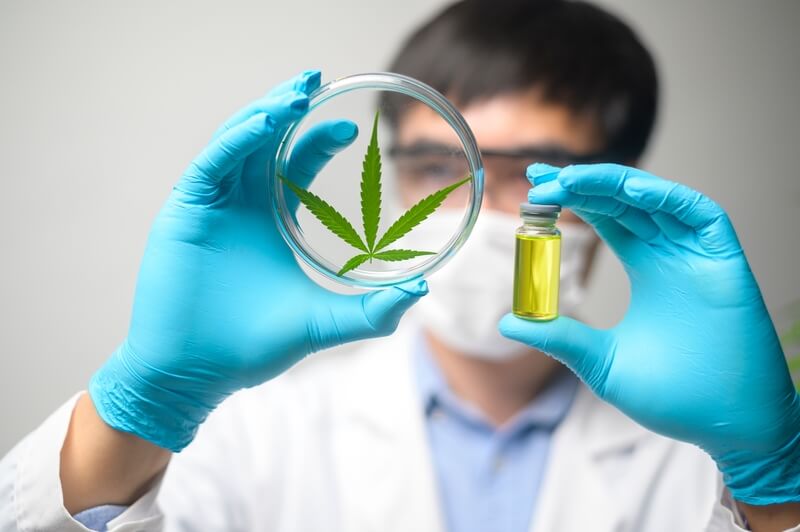 tratamento de doencas degenerativas e os beneficios da cannabis
