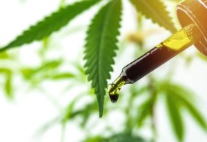 Ansiedade, depressão e esquizofrenia podem ser tratadas com Cannabis