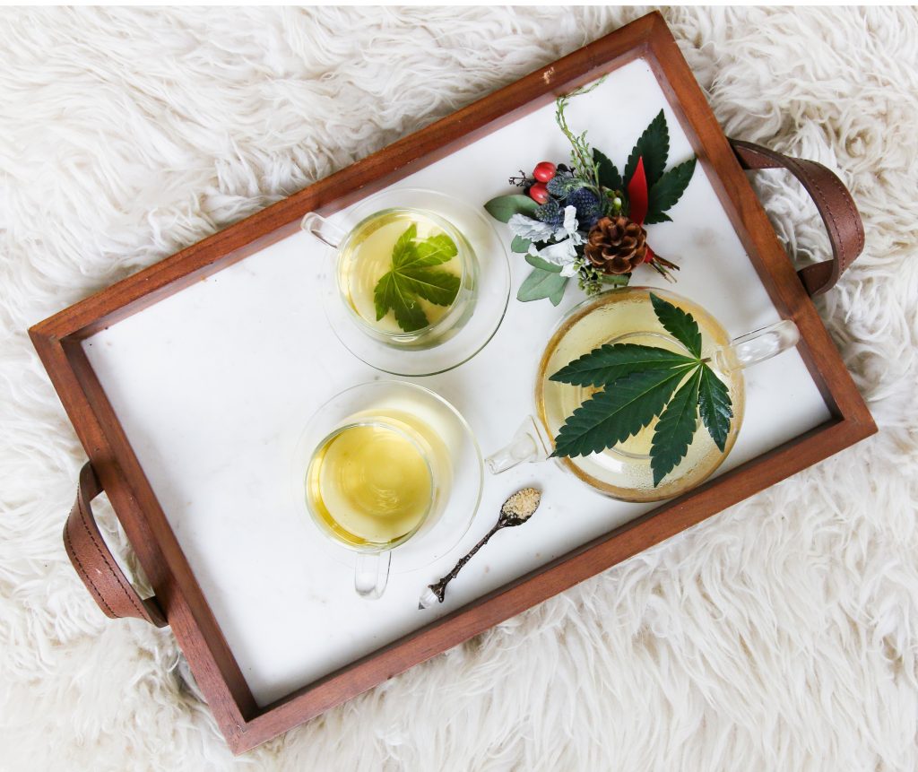Nutrologia e a Cannabis se relacionam