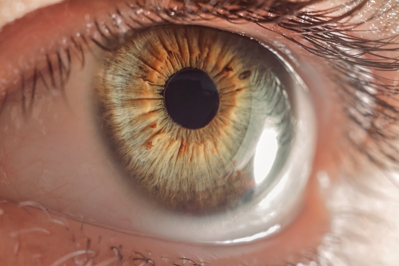 saude ocular olho