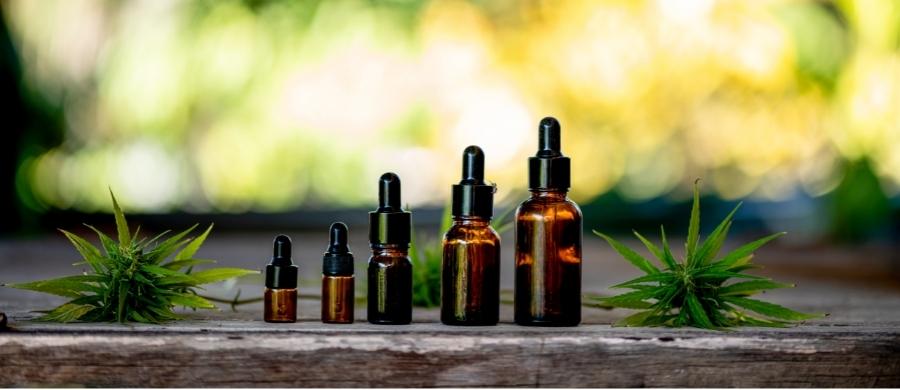 viajar-com-Cannabis
