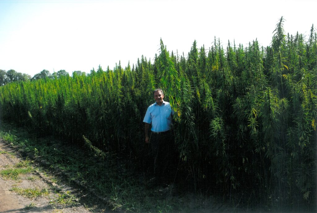 Michel Terestchenko ao lado de plantas de cânhamo na Ucrânia