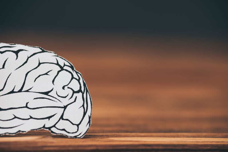 sindrome de dravet cerebro