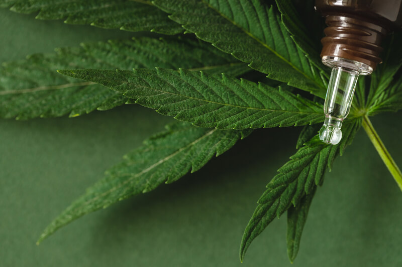 estresse cannabis