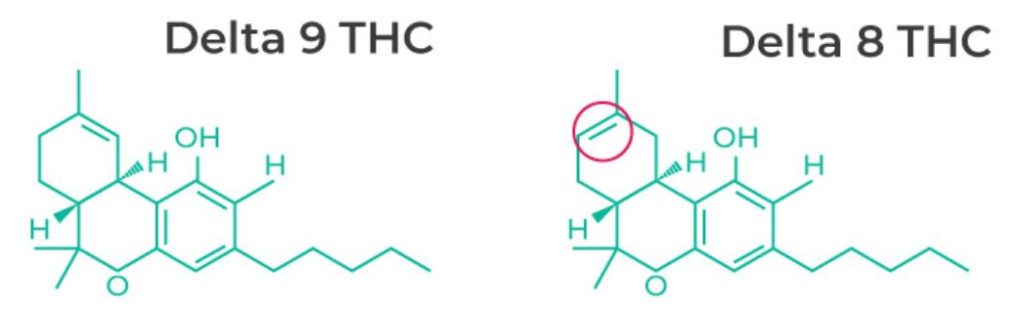 Círculo destaca a diferença na estrutura química do delta 8 e delta 9 THC