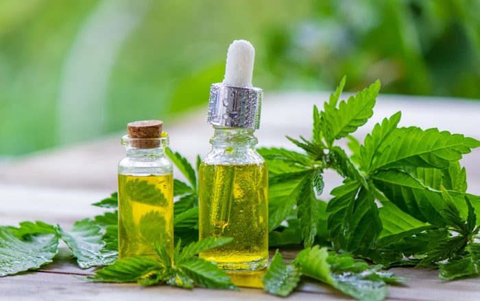 esclerose tuberosa oleo de cannabis dentistas