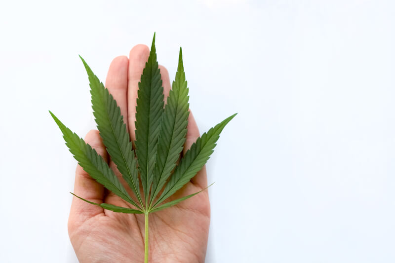 doencas raras thc