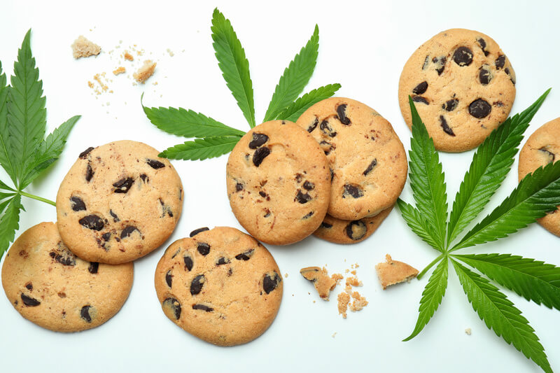 manteiga cannabica como fazer
