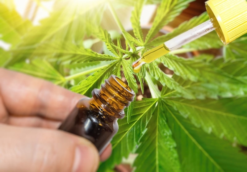 disturbios do sono oleo cannabis