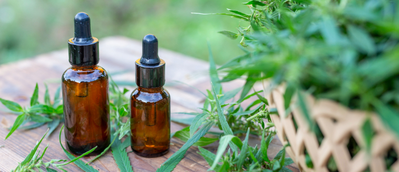 Sabia que Cannabis Medicinal e Cannabis de Uso Recreativo são diferentes?