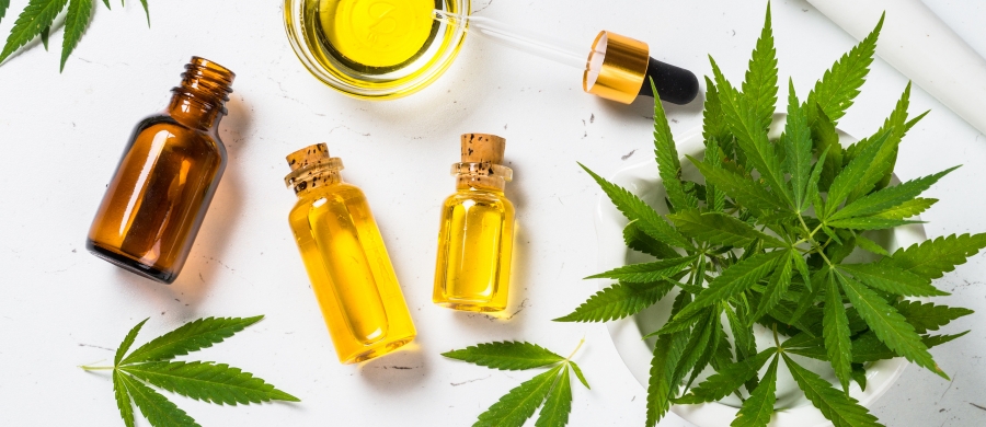 cannabis-vicia