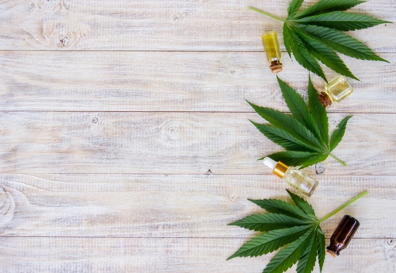caquexia cannabis