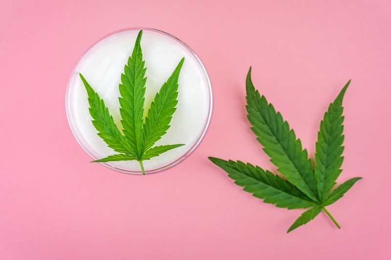 cbd isolado canhamo