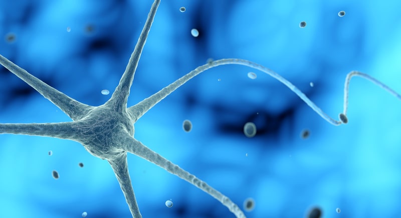 como prevenir o alzheimer neuronios