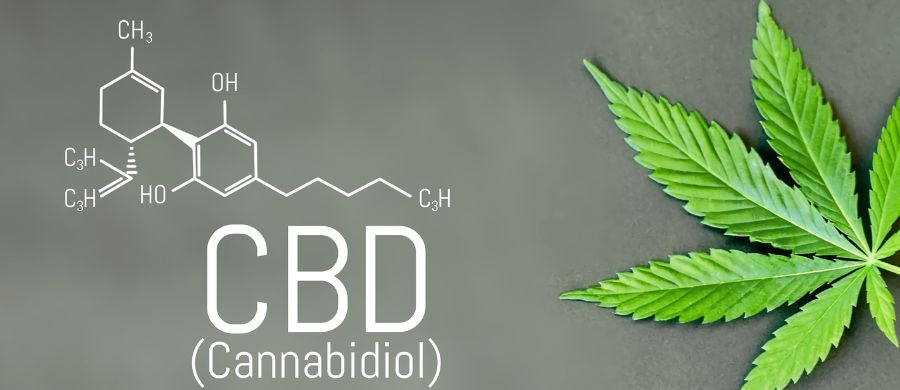 cbd