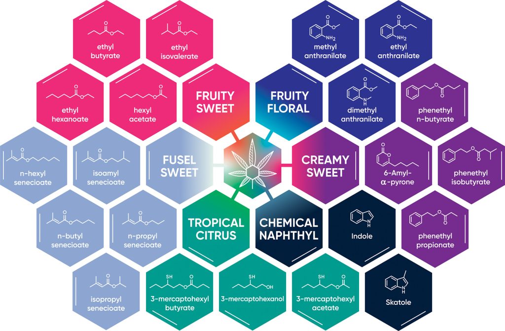 Tabela com compostos não terpenoides encontrados na Cannabis
