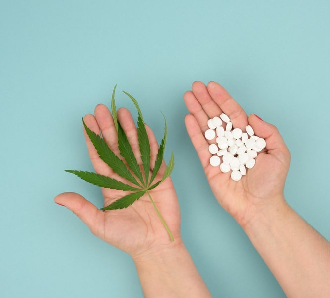 tylenol cannabis