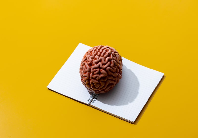 efeitos do canabidiol no cerebro sistema nervoso