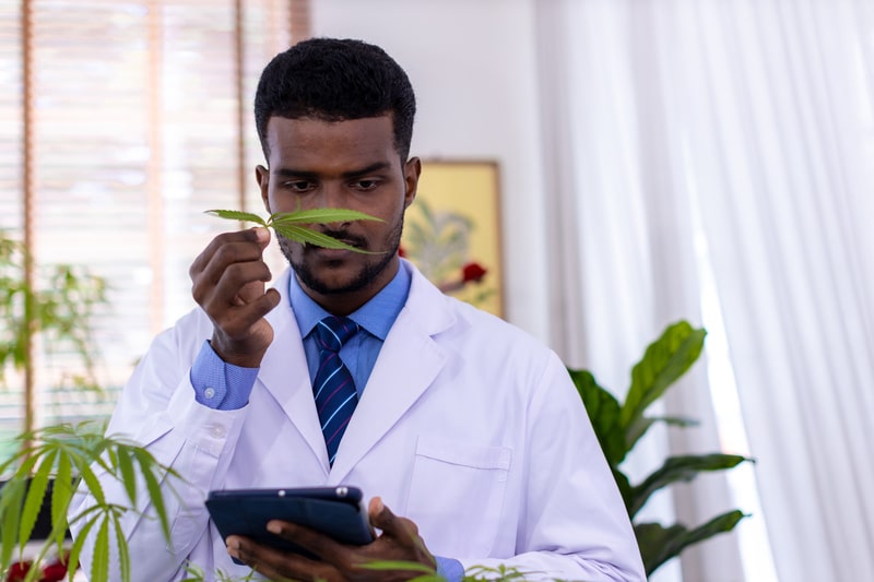 quais doencas podem ser tratadas com o canabidiol estudos
