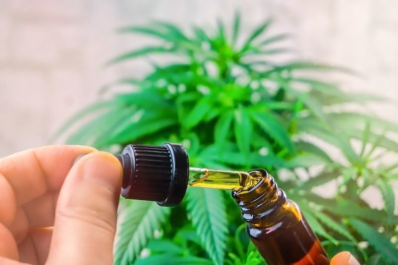 quais doencas podem ser tratadas com o canabidiol planta