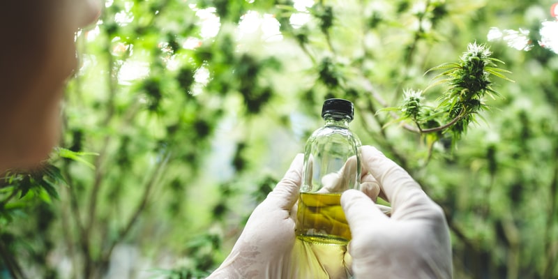 quais doencas podem ser tratadas com o canabidiol produto