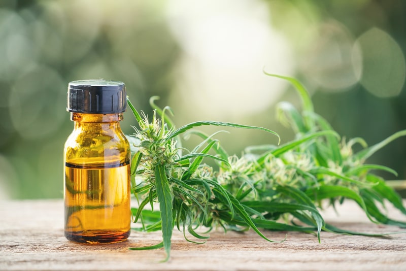 canabidiol e a diarreia oleo cbd