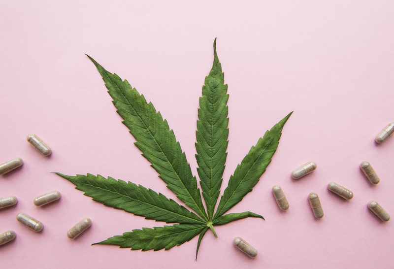 dor mista cannabis