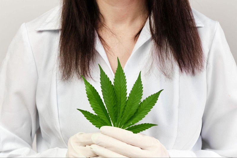 lista de medicos que prescrevem canabidiol planta